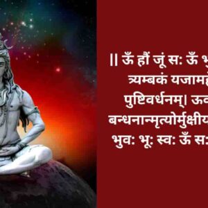 Maha Mrityunjay Pooja (Sava Lakh Jaap Anushtaan)